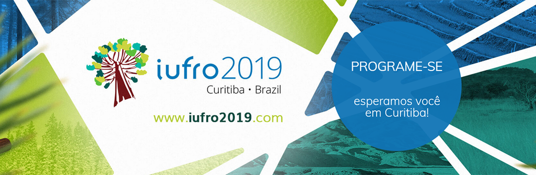 Congreso IUFRO