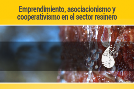 Curso de emprendimiento, asociacionismo y cooperativismo en el sector resinero